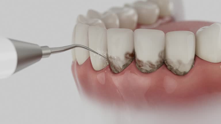 Reliable Dental contractor in Meridian, MS by Dentist Open Now